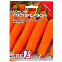 Семена ХХХL Морковь 'Амстердамска', 10 г