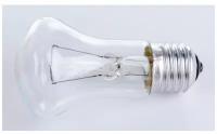 Лампа накаливания местного освещения Лисма МО 36-95