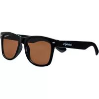 EIC Wayfarer Polarizing Brown Lens BWF