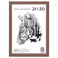 Рамка оформительская Zebra формат А4, цвет капучино, со стеклом