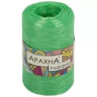 Пряжа ARACHNA Raffia, 100% полипропилен, 5*50+-10 г, 200+-12 м