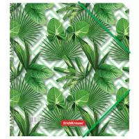 ErichKrause Папка для тетрадей на резинках Tropical Leaves, A5+, пластик