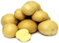 Картофель семенного типа 