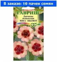 Лапчатка Мисс Вильмотт непальская 0,01г Мн 50см (Гавриш) - 10 ед. товара