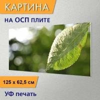 Горизонтальная картина 