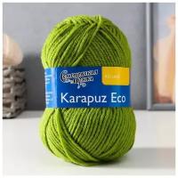 Пряжа Karapuz Eco (КарапузЭко) 90% акрил, 10% капрон 125м/50гр аспарагус (323)