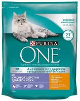 Сухой корм для кошек Purina ONE для кошек для красивой шерсти и здоровой кожи, с курицей и цельными злаками