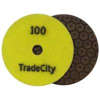 Алмазный гибкий шлифовальный круг TRADECITY Усиленный Гайка №100 Pads 4-STEP 100D