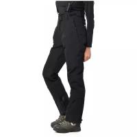 Горнолыжные брюки AZIMUTH, подкладка, размер 44, черный