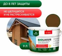 PROSEPT пропитка антисептик лессирующий BiO Lasur