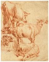Постер на холсте Четыре овцы и корова 50см. x 64см