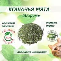 Кошачья мята лакомство для кошек 50 грамм. Котовник сушенный. Для приучения к месту, коррекции поведения, успокоительное