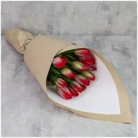 Цветы живые букет из 15 красных тюльпанов в крафте-бумаге с атласной лентой