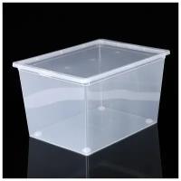 Ящик для хранения с крышкой, 50 л, 53x38x30 см, цвет прозрачный
