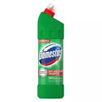 Средство универсальное чистящее Domestos 