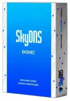 Программное Обеспечение Skydns Бизнес. 15 лицензий на 1 год (SKY_BSN_15)