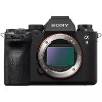 Фотоаппарат Sony Alpha ILCE-9M2 Body, черный