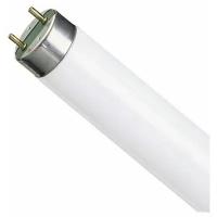 Лампа люминесцентная OSRAM 4052899352810, G13, T8