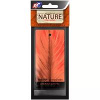 RUSEFF Ароматизатор для автомобиля NATURE LINE Fresh Citrus 5 мл цитрусовый