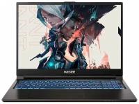 Игровой ноутбук Hasee 100%sRGB 165HZ IPS T8-DA9NT