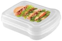 Контейнер для бутербродов Phibo, 170 x 130 x 42 мм, прозрачный с декором