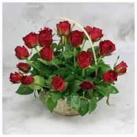 Букет живых цветов из 25 красных роз в корзине