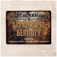 Жестяная табличка Мужская берлога, металл, 30Х40 см