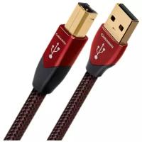 Кабель USB 2.0 Тип A - B Audioquest Cinnamon USB A-B 5.0m