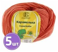 Пряжа Камтекс Карамелька (050), коралл, 5 шт. по 50 г