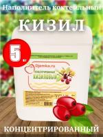 Сок концентрированный Кизиловый 5 кг. (Djemka)