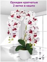Композиция из искусственных цветов Орхидеи Крапчатые 2 ветки в кашпо 55см от ФитоПарк