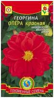 Георгина Опера красный ~ 11 семян