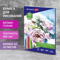 Бумага для рисования и графики в папке Большая А3, 20 л, 200 г/м2, Ватман Гознак, Brauberg Art Classic, 114491