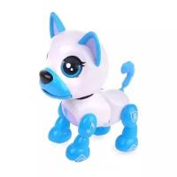 Робот 1 TOY Robo Pets Щенок Т16800, белый/голубой