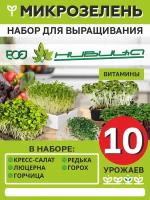 Микрозелень Набор для выращивания 