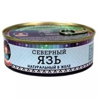 Язь Ямалик натуральный в желе, 240 гр