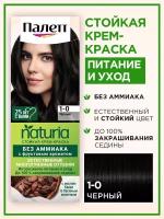 Палетт Фитолиния Стойкая крем-краска для волос, 900 (1-0) Черный, 110 мл