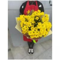 Букет Желтые Хризантемы, 70 см. 9 штук, подкормка + памятка по уходу в подарок, от магазина Купить Цветы