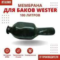 Мембрана Wester 100 литров (membrWester100)