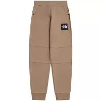 Штаны The North Face M Fine II Pant Kelp Tan