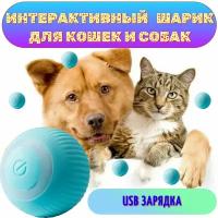 Интерактивная игрушка для животных (синяя)/Игрушка для кошек и собак мелких пород/Дразнилка для животных