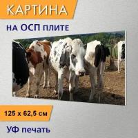 Горизонтальная картина 