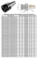 Патрон Цанговый с хвостовиком 7:24 - BT30х100 (MAS403) c ЧПУ (М12х1.75) под цанги ЕR32 (BT30-ER32-100)