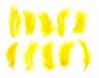 Набор перьев для декора 10 шт, размер 1 шт: 10 × 2 см, цвет жёлтый