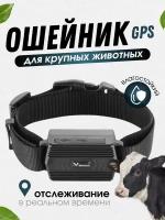 TK STAR GPS ошейник для животных TK STAR TK935