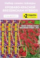 Семена Гейхера кроваво-красная Bressingham Hybrids, 3 упаковки + 2 Подарка