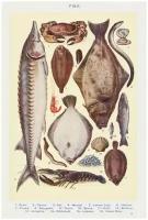 Постер / Плакат / Картина на холсте Рыбы - Морские деликатесы 40x50 см в подарочном тубусе