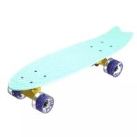 Пенни Борд Fish Skateboards 22