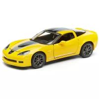 Легковой автомобиль Maisto Chevrolet Corvette Z06 GT1 2009 (31203) 1:24