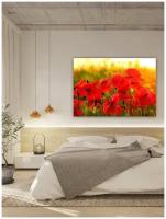 Картина для интерьера на холсте 50х70 см / Мак / Цветы